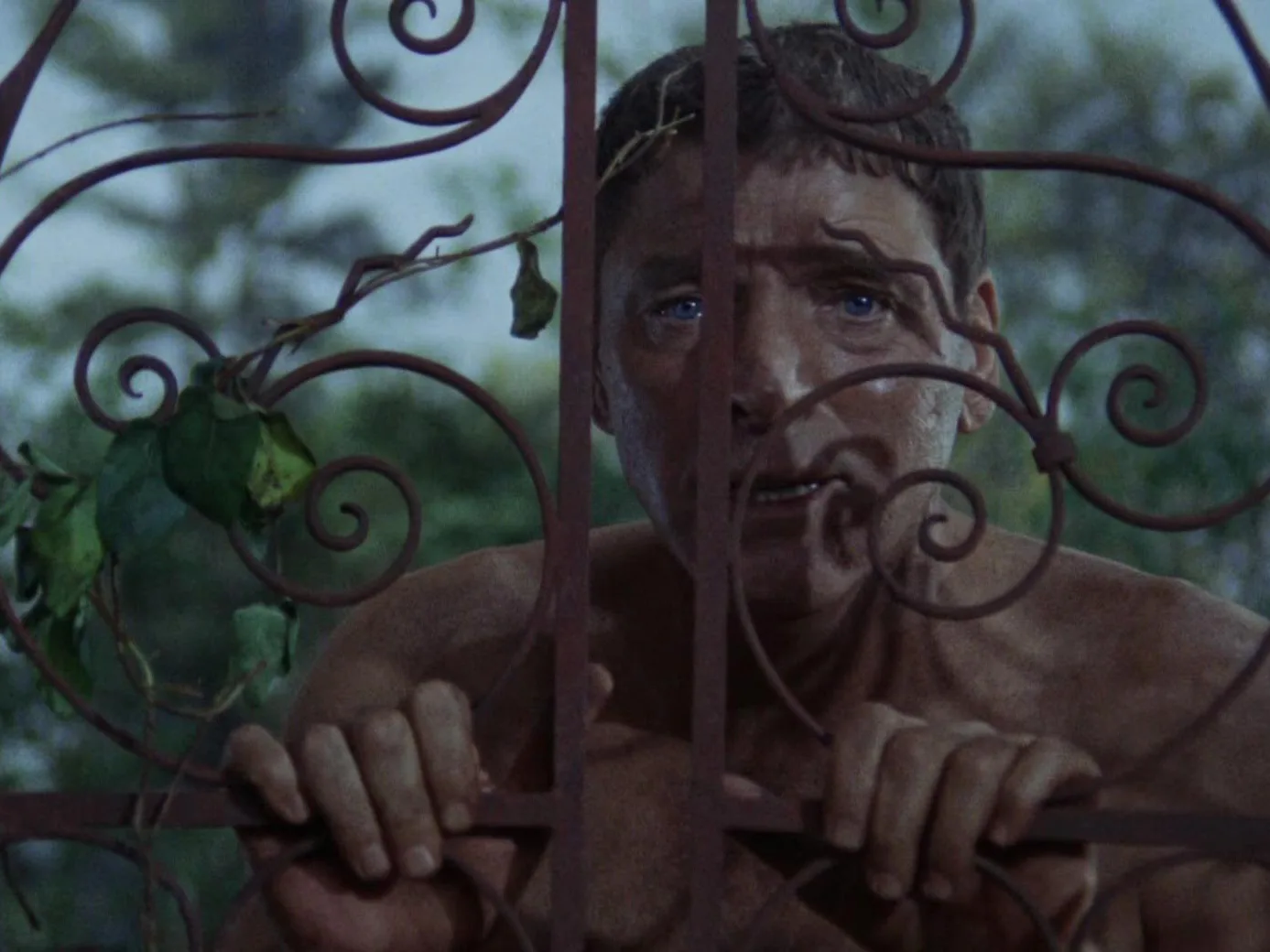 Images from The Swimmer (1968) directed by Frank Parry and starring Burt Lancaster. Based on the story “The Swimmer” by John Cheever.